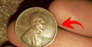 The $10 Million Lincoln Wheat Penny